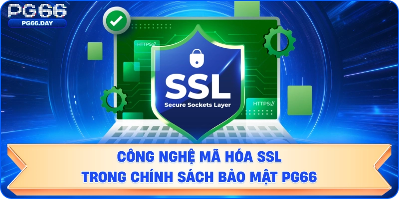 Công nghệ mã hóa SSL trong chính sách bảo mật.